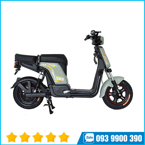 Xe điện Martin107