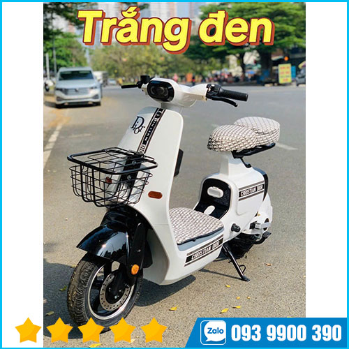 Xe điện V1 Plus