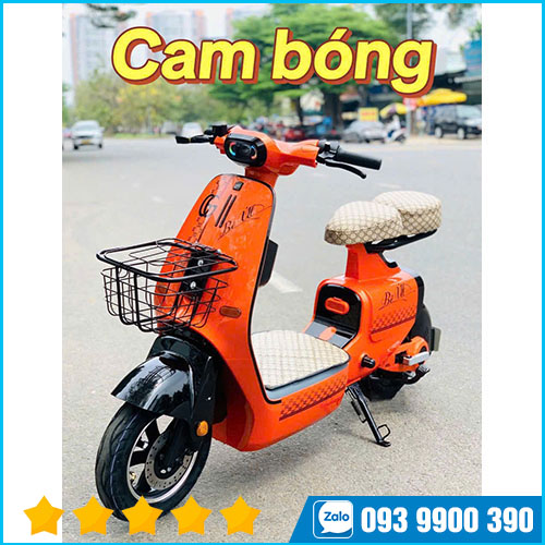 Xe điện V1 Plus