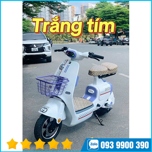 Xe điện V1 Plus