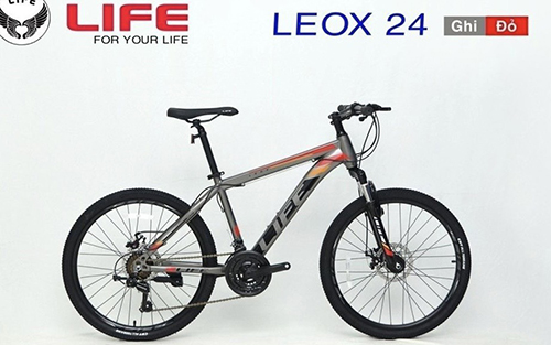 Xe đạp Life size 24 inch - Cửa Hàng Xe Đạp Phước Long