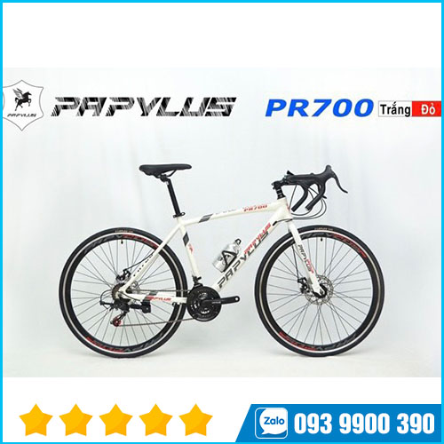 Xe đạp Papylus PR700