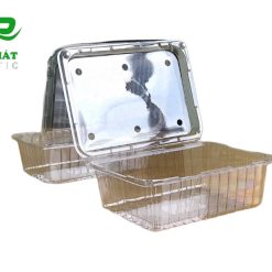 Hộp trong đựng dâu tây