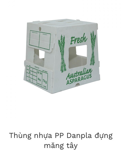 Thùng đựng PP Danpla măng tây