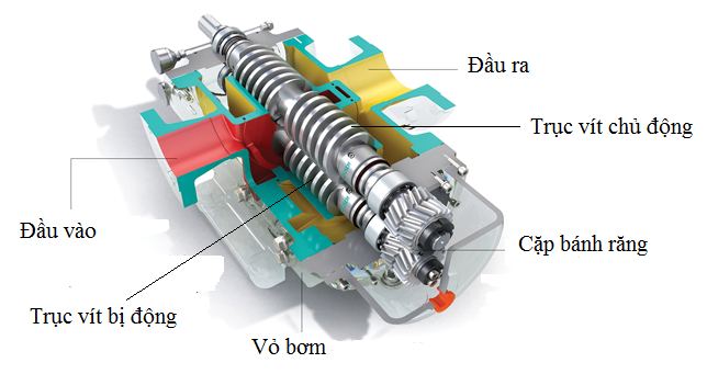 Bơm trục vít