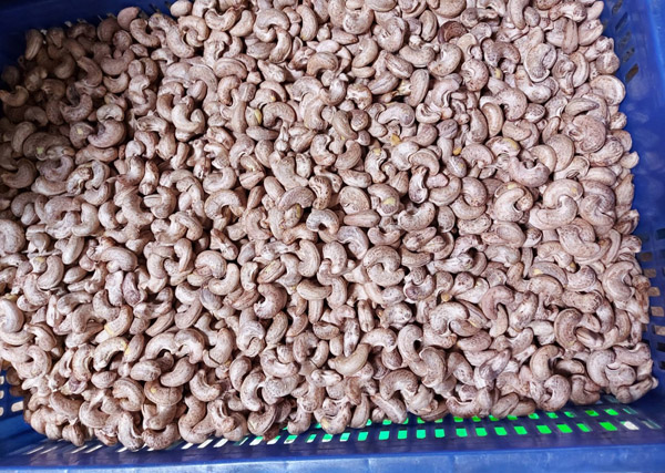 Hạt điều vỏ lụa rang muối W210