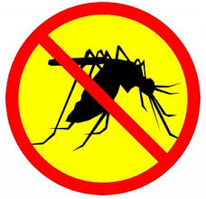 Dịch vụ diệt muỗi - Văn Phòng Đại Diện Công Ty Cổ Phần ứng Dụng Công Nghệ Phòng Chống Ẩn Họa Long Quân