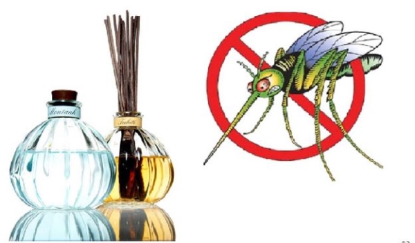 Diệt muỗi - Văn Phòng Đại Diện Công Ty Cổ Phần ứng Dụng Công Nghệ Phòng Chống Ẩn Họa Long Quân