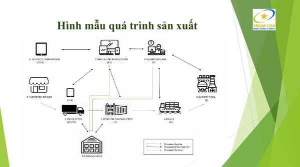 Hồ sơ năng lực