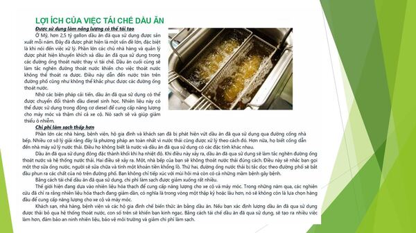 Hồ sơ năng lực