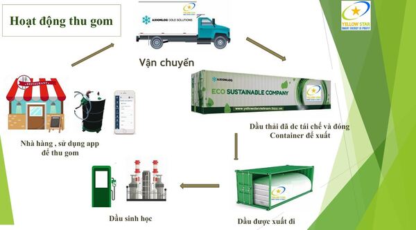 Hồ sơ năng lực