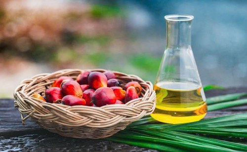 Thu mua dầu mỡ đã qua sử dụng, hết hạn