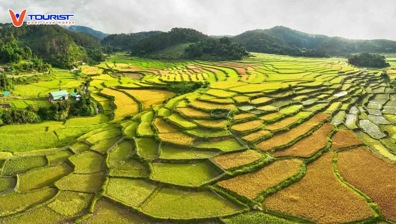 Tour Tây Nguyên - Công Ty Cổ Phần Du Lịch Vtourist