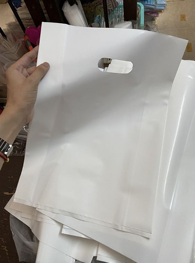 Túi hột xoài màu trắng - Túi Zipper Đông Vũ - Công Ty TNHH Đông Vũ Group