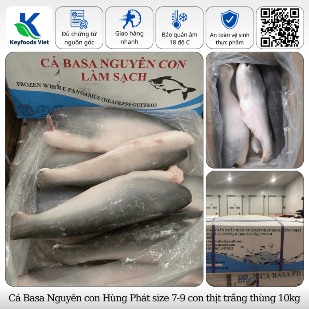 Cá Basa Nguyên con Hùng Phát - Thực Phẩm Đông Lạnh Keyfoods Việt - Công Ty TNHH Đầu Tư Thương Mại Quốc Tế KeyGroup