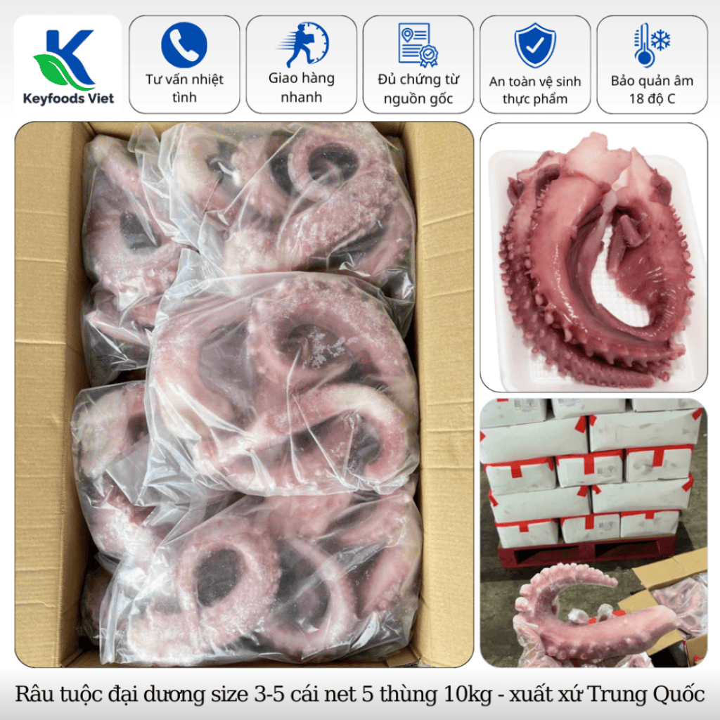 Râu tuộc đại dương - Thực Phẩm Đông Lạnh Keyfoods Việt - Công Ty TNHH Đầu Tư Thương Mại Quốc Tế KeyGroup