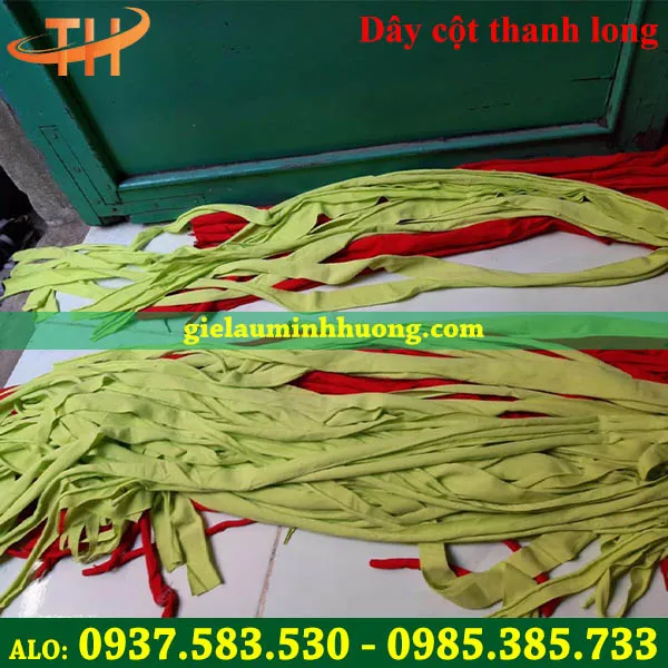 Dây vải thun cột cây thanh long