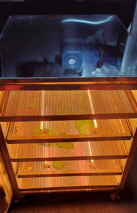 Tủ sấy hồng ngoại 6 tầng - Lò Sấy Hồng Ngoại Thiên Kim - Công Ty TNHH Sản Xuất Cơ Khí Thiên Kim