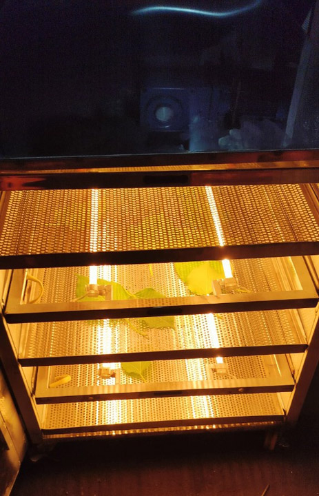 Tủ sấy hồng ngoại 6 tầng - Lò Sấy Hồng Ngoại Thiên Kim - Công Ty TNHH Sản Xuất Cơ Khí Thiên Kim