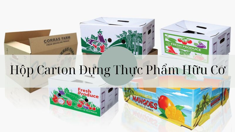Hộp carton đựng thực phẩm hữu cơ - Bao Bì Carton Taisho - Công Ty TNHH SX TM Bao Bì Taisho
