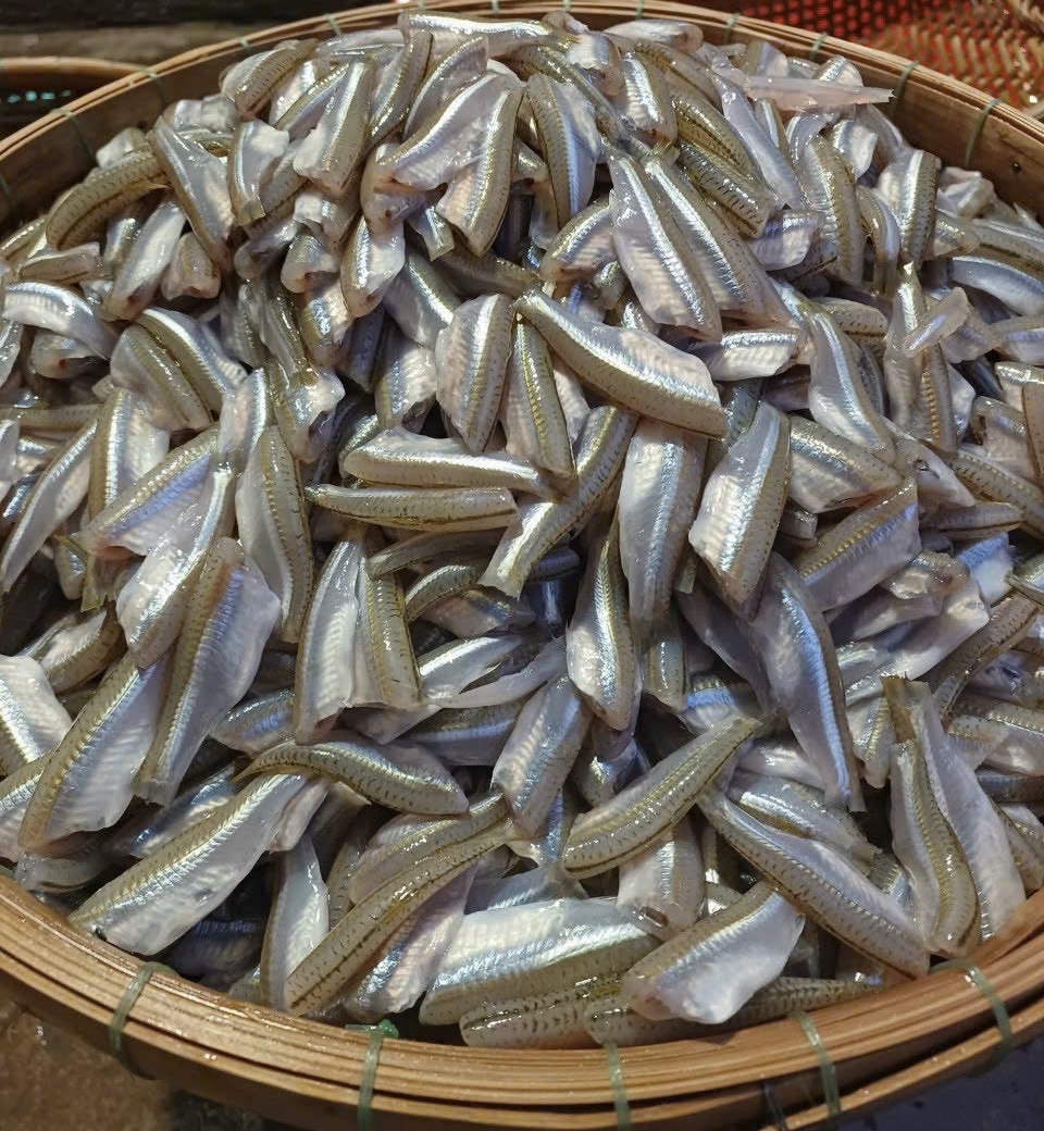 Cá lồng tông khô - Thực Phẩm Khô - Cơ Sở Trà Bắc Thái Nguyên Ngân Vy