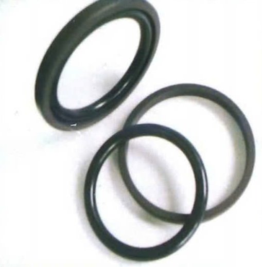 Phớt Glyd Ring