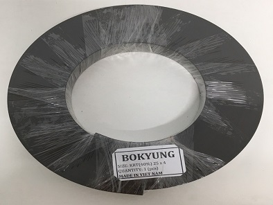 Slyd Ring - Gioăng Phớt Bokyung - Công Ty TNHH Thiết Bị Kỹ Thuật Bokyung Plastic