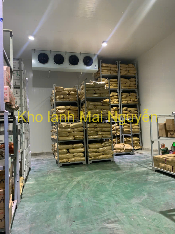 Kho lạnh công nghiệp - Kho Lạnh Công Nghiệp Mai Nguyễn - Công Ty TNHH Cơ Điện Lạnh Công Nghiệp Mai Nguyễn