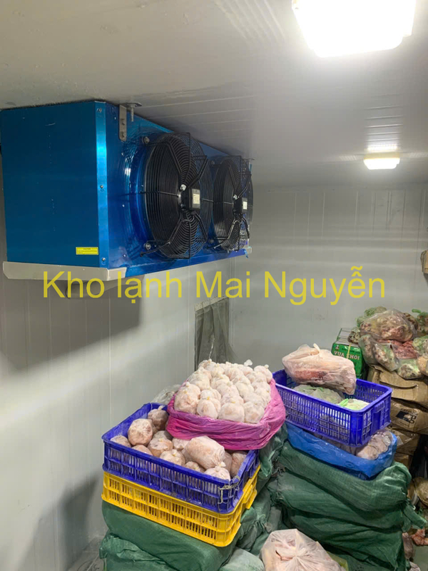 Kho lạnh công nghiệp - Kho Lạnh Công Nghiệp Mai Nguyễn - Công Ty TNHH Cơ Điện Lạnh Công Nghiệp Mai Nguyễn
