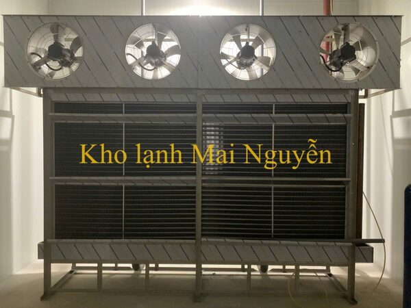 Kho lạnh công nghiệp - Kho Lạnh Công Nghiệp Mai Nguyễn - Công Ty TNHH Cơ Điện Lạnh Công Nghiệp Mai Nguyễn