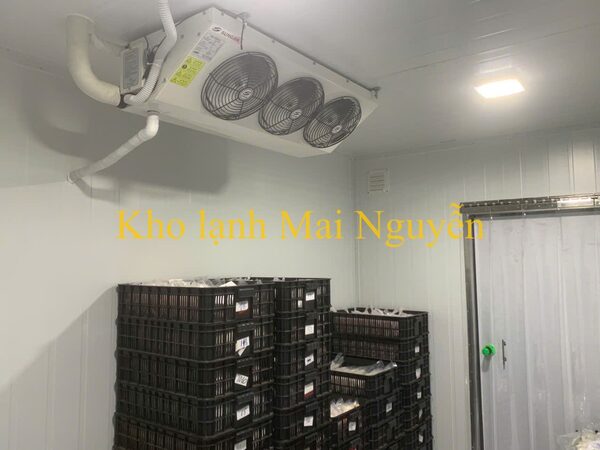 Kho lạnh công nghiệp