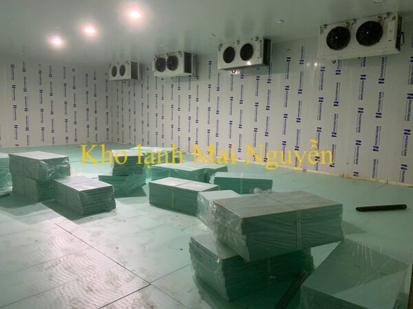 Kho lạnh công nghiệp - Kho Lạnh Công Nghiệp Mai Nguyễn - Công Ty TNHH Cơ Điện Lạnh Công Nghiệp Mai Nguyễn
