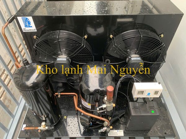 Kho lạnh công nghiệp - Kho Lạnh Công Nghiệp Mai Nguyễn - Công Ty TNHH Cơ Điện Lạnh Công Nghiệp Mai Nguyễn