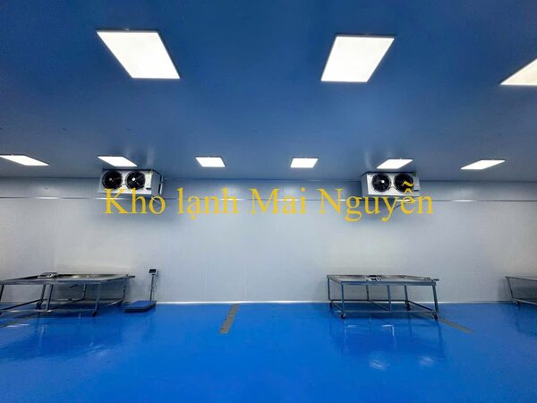 Kho lạnh công nghiệp - Kho Lạnh Công Nghiệp Mai Nguyễn - Công Ty TNHH Cơ Điện Lạnh Công Nghiệp Mai Nguyễn