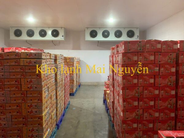 Kho lạnh công nghiệp - Kho Lạnh Công Nghiệp Mai Nguyễn - Công Ty TNHH Cơ Điện Lạnh Công Nghiệp Mai Nguyễn