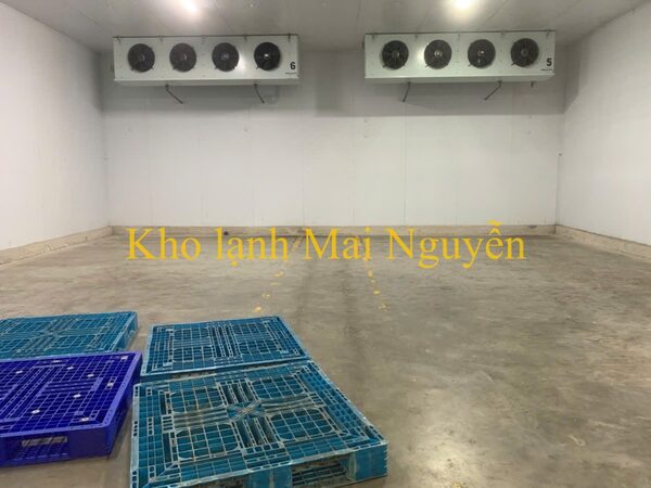 Kho lạnh công nghiệp - Kho Lạnh Công Nghiệp Mai Nguyễn - Công Ty TNHH Cơ Điện Lạnh Công Nghiệp Mai Nguyễn