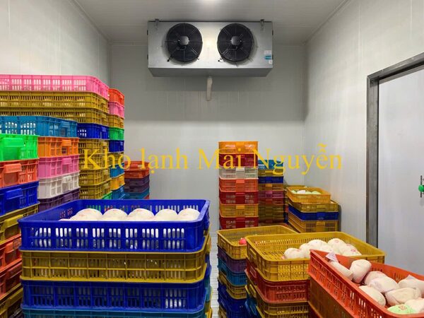 Kho lạnh công nghiệp - Kho Lạnh Công Nghiệp Mai Nguyễn - Công Ty TNHH Cơ Điện Lạnh Công Nghiệp Mai Nguyễn