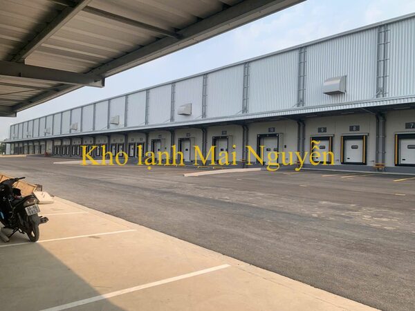 Kho lạnh công nghiệp - Kho Lạnh Công Nghiệp Mai Nguyễn - Công Ty TNHH Cơ Điện Lạnh Công Nghiệp Mai Nguyễn