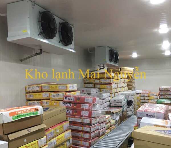 Kho lạnh công nghiệp - Kho Lạnh Công Nghiệp Mai Nguyễn - Công Ty TNHH Cơ Điện Lạnh Công Nghiệp Mai Nguyễn