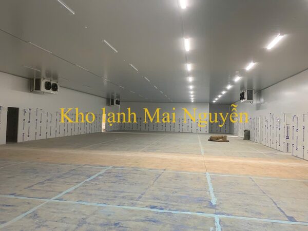 Kho lạnh công nghiệp - Kho Lạnh Công Nghiệp Mai Nguyễn - Công Ty TNHH Cơ Điện Lạnh Công Nghiệp Mai Nguyễn