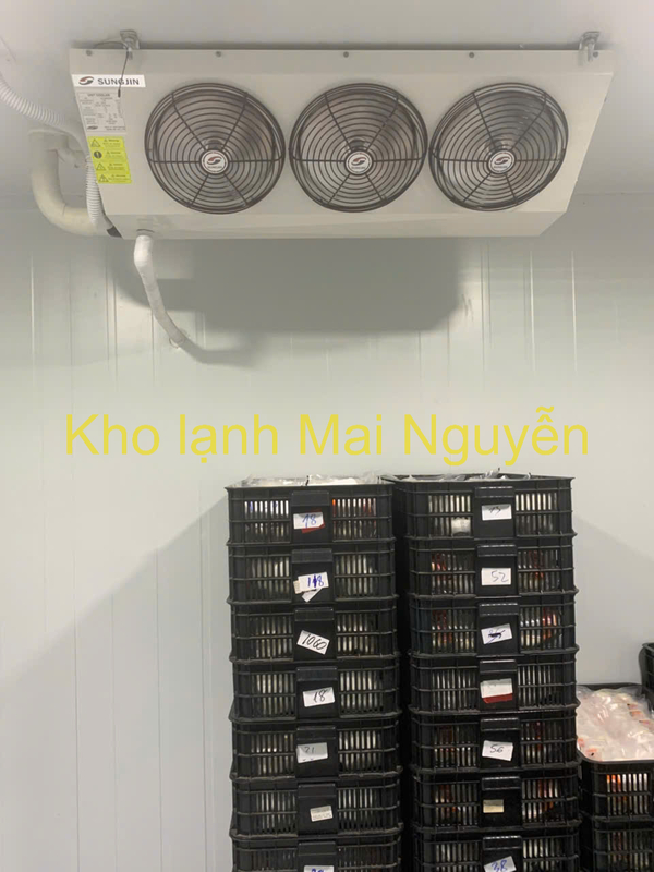 Kho lạnh công nghiệp - Kho Lạnh Công Nghiệp Mai Nguyễn - Công Ty TNHH Cơ Điện Lạnh Công Nghiệp Mai Nguyễn