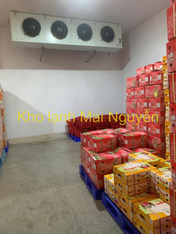 Kho lạnh công nghiệp - Kho Lạnh Công Nghiệp Mai Nguyễn - Công Ty TNHH Cơ Điện Lạnh Công Nghiệp Mai Nguyễn