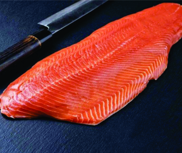 Cá hồi Na Uy Fillet tươi - Fresh Salmon Fillet - Thực Phẩm Đông Lạnh Bách Phúc Phương - Công Ty TNHH Bách Phúc Phương