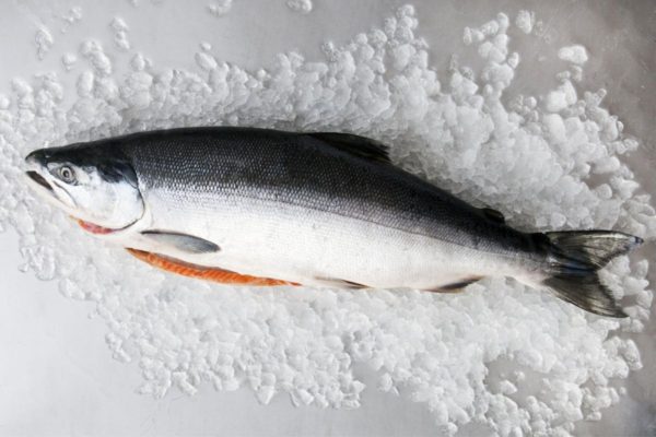 Cá hồi nhập khẩu - Thực Phẩm Đông Lạnh Bách Phúc Phương - Công Ty TNHH Bách Phúc Phương