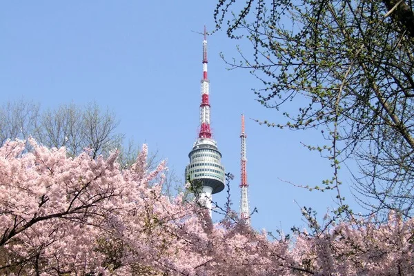 Tour Hàn Quốc 5N4Đ: Seoul - Đảo Nami - Everland