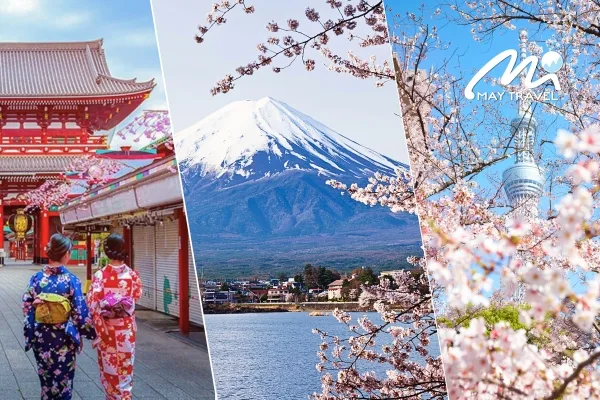 Tour Nhật Bản Tokyo - Núi Phú Sĩ - Yamanashi 5N4Đ