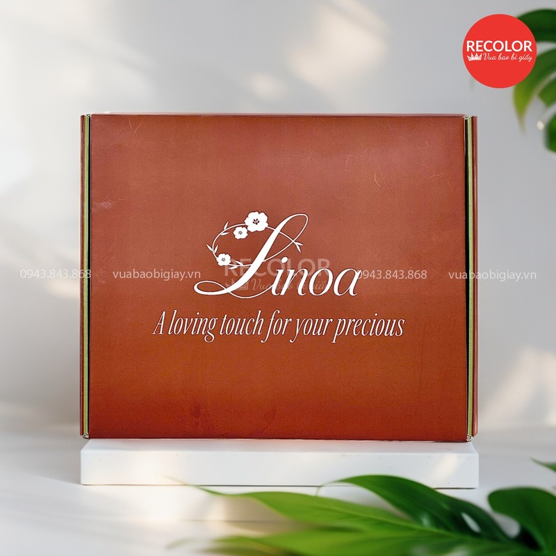 Bao bì carton in offset