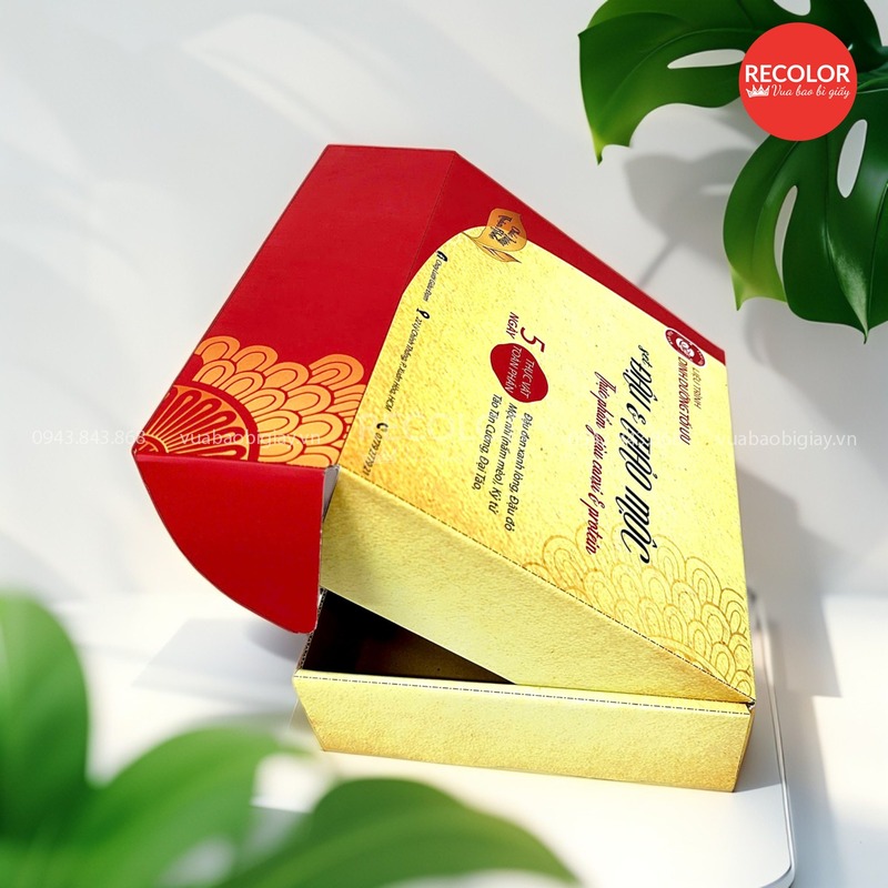 Bao bì carton in offset