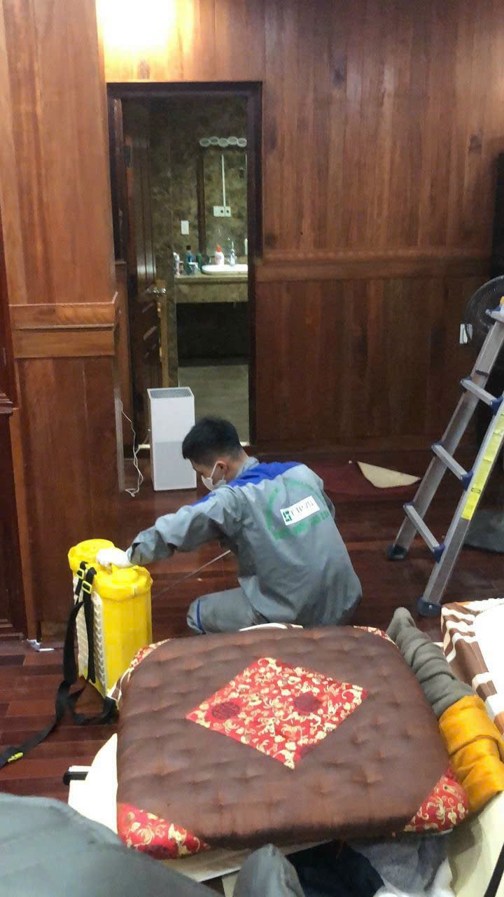 Dịch vụ diệt mối