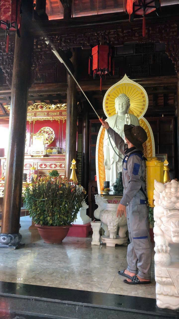 Dịch vụ diệt mối